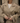 Trench Wren Stylish Outerwear